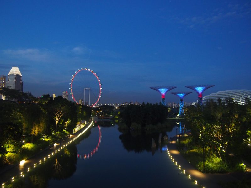 Singapore Super Deluxe